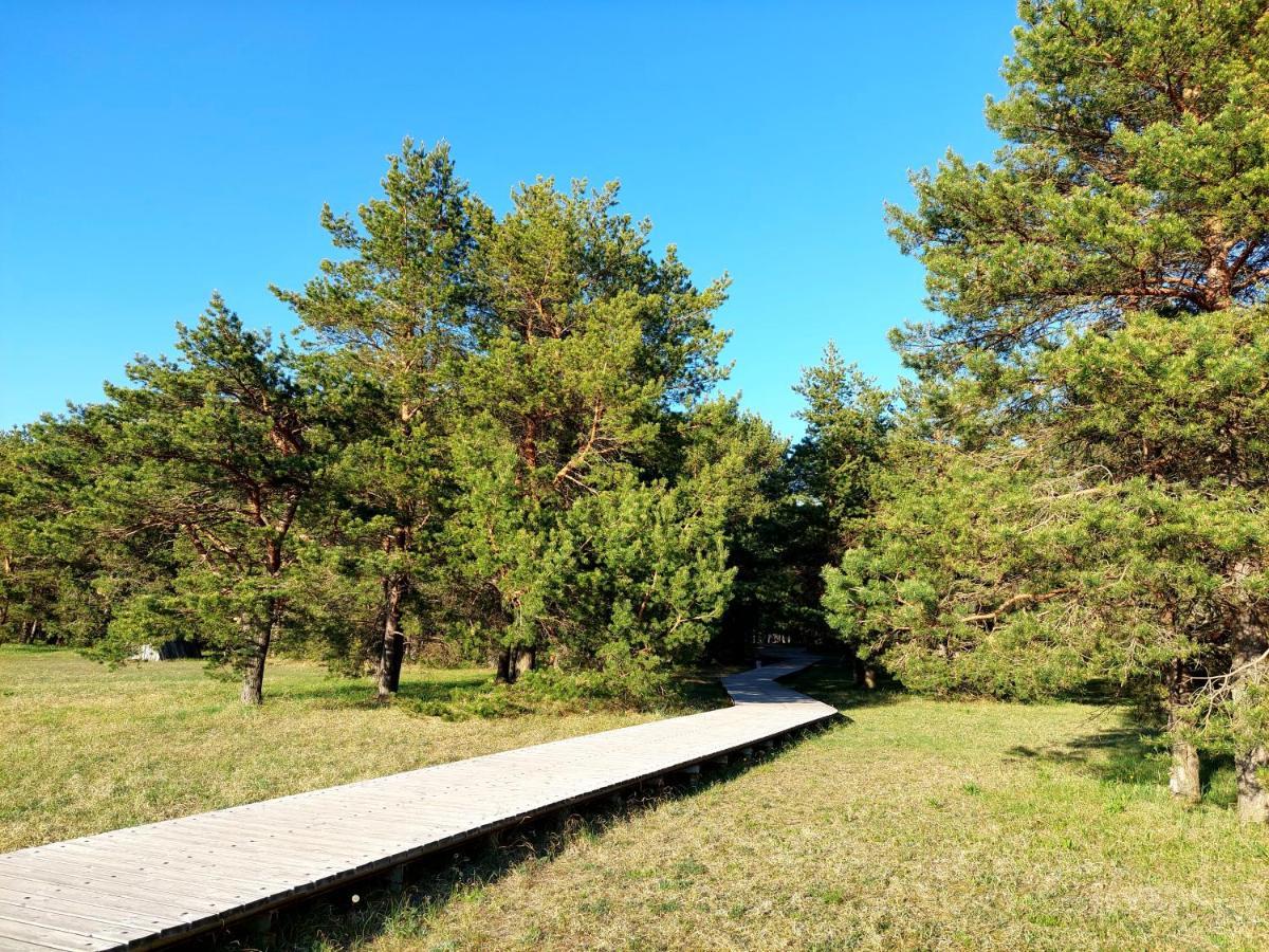 Juras Dzintars Villa Ainaži Exteriör bild